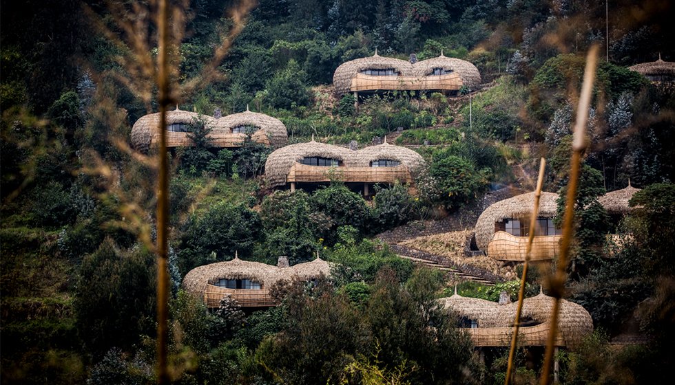 bisate-lodge-accommodation