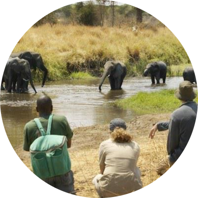 https://bic.camintra.com/wp-content/uploads/2022/07/Olivers-Camp-Walking-Safari-africa.png
