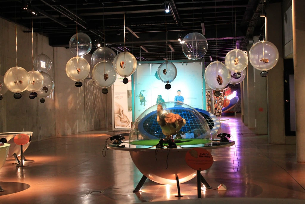 caves about humankind