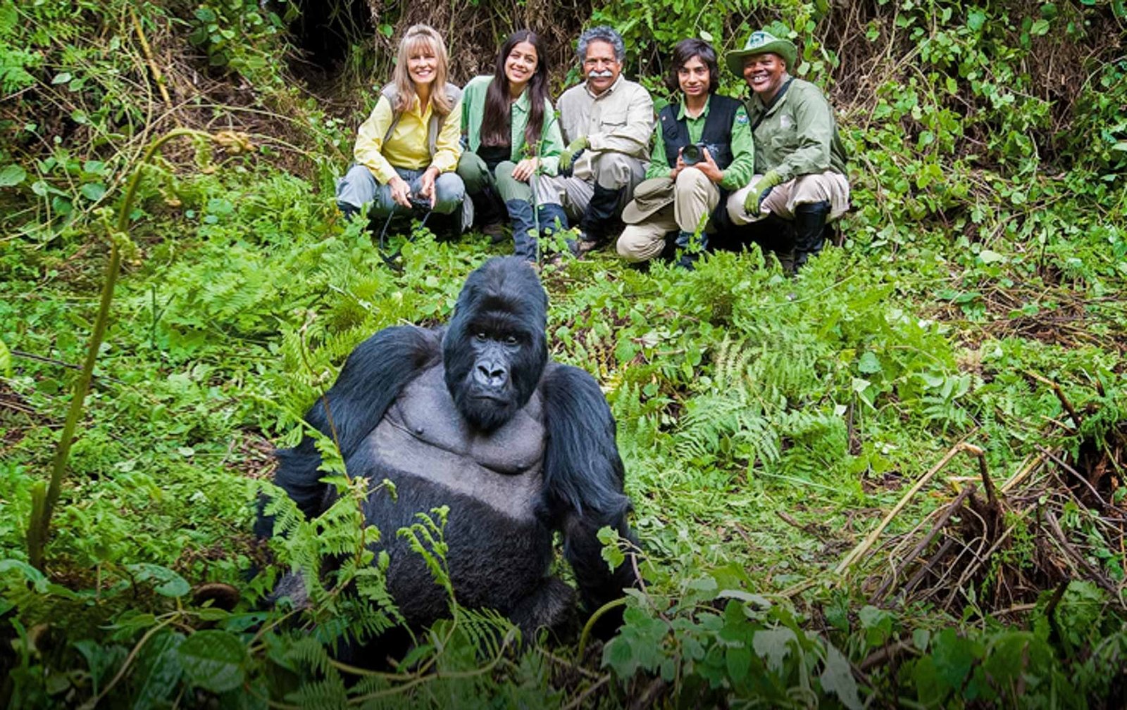 gorilla-tracking-6