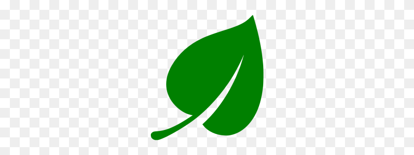 https://bic.camintra.com/wp-content/uploads/2022/07/green-leaf-icon-919566.png