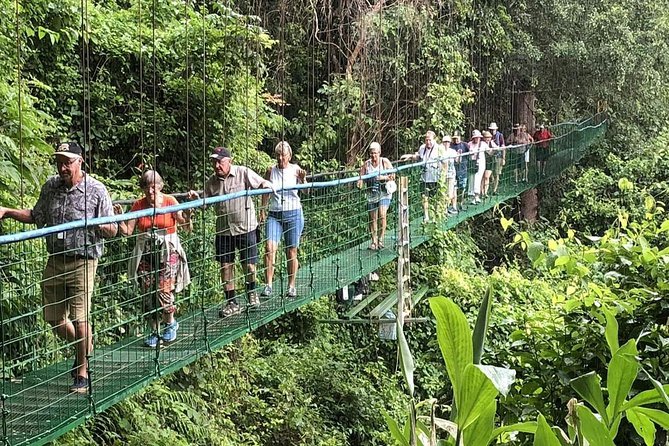 Rainforest Skywalk, Brazil